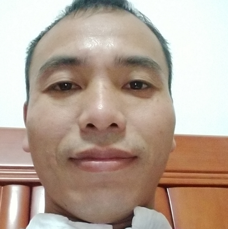 社會的現(xiàn)實