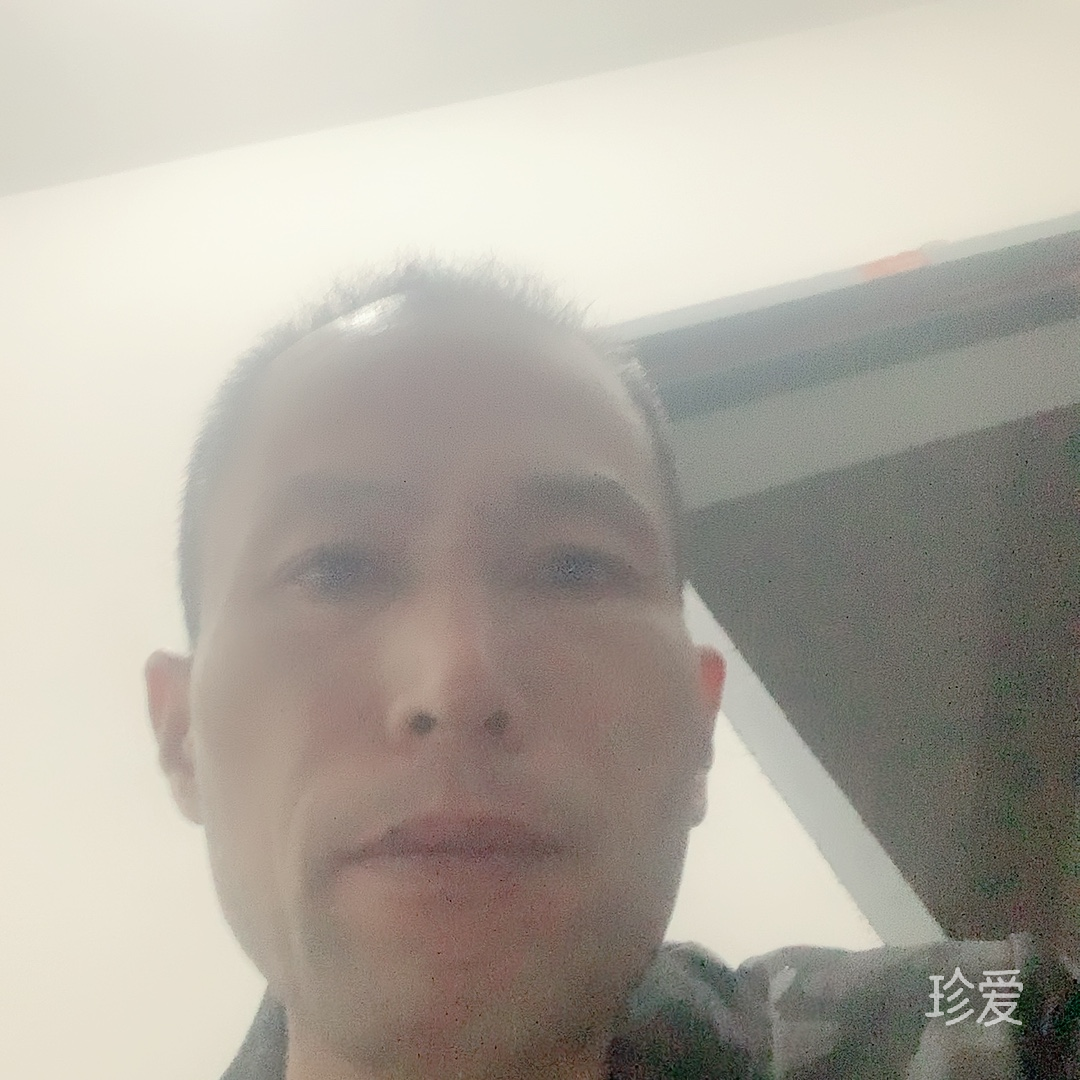既无风雨便无愁