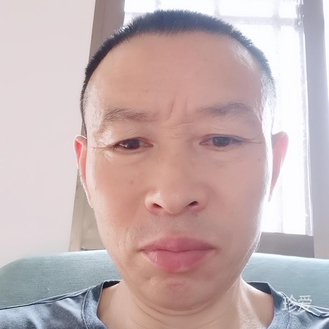 孤叶