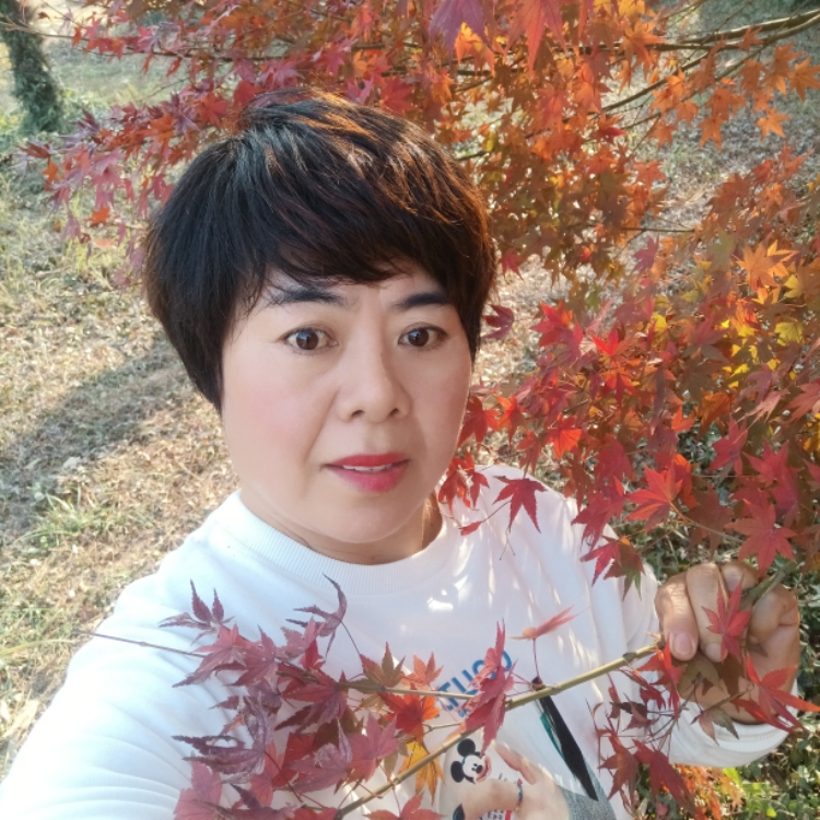 堅強(qiáng)的燕子