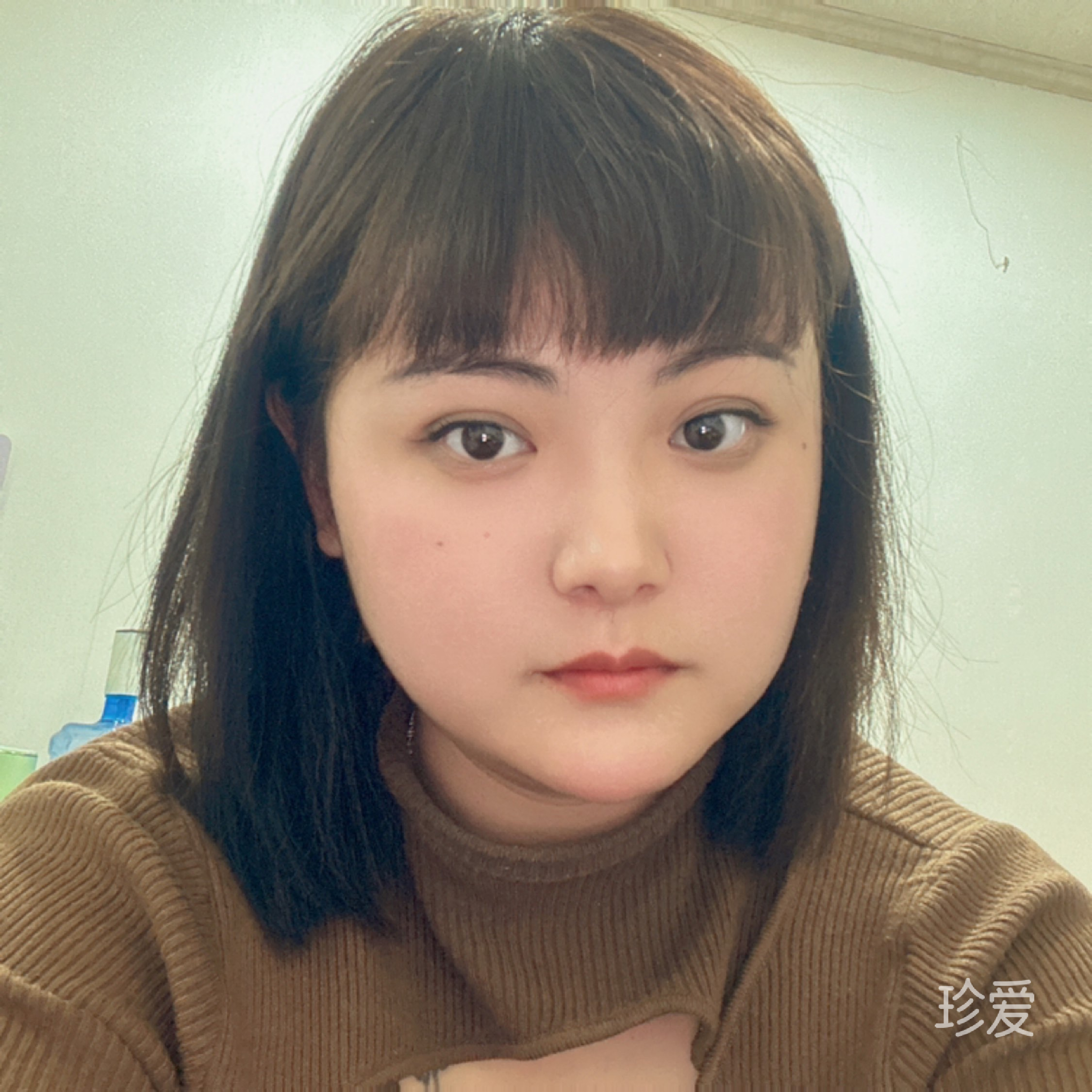猫吉小姐