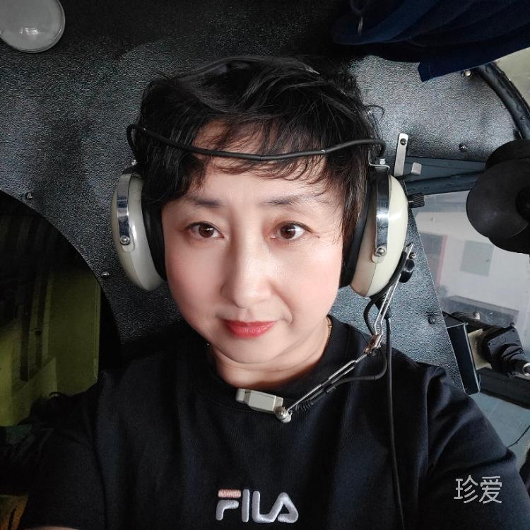 月光下的凤尾竹