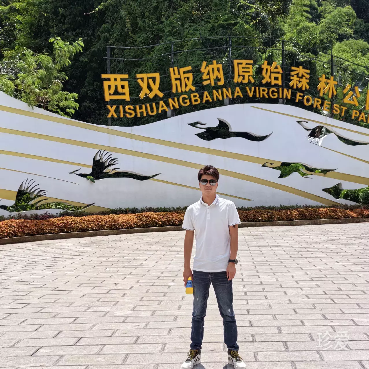 落叶知秋