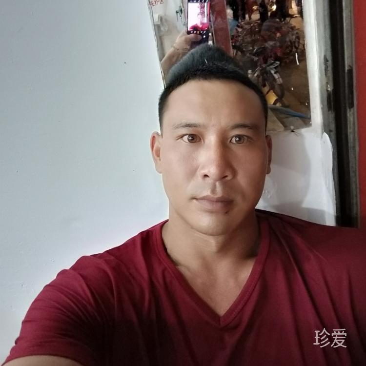 白天不懂夜的黑