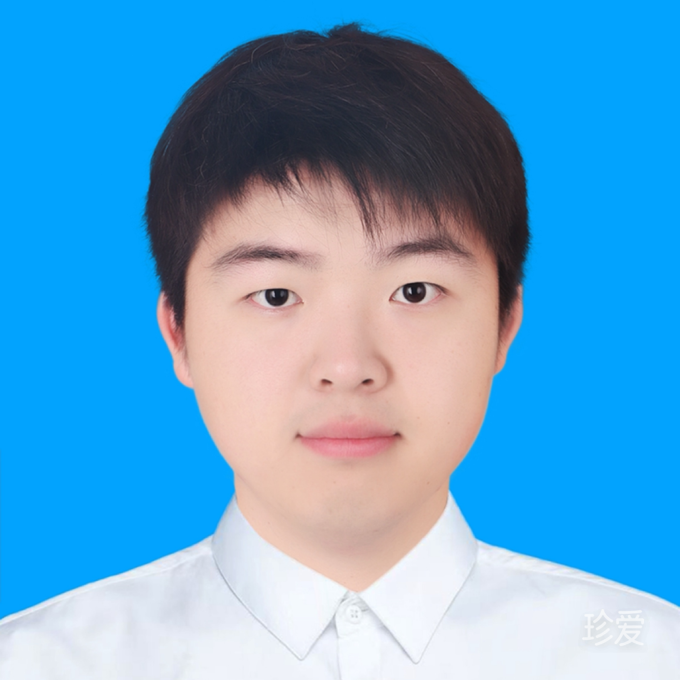 温蒂公主的侍卫