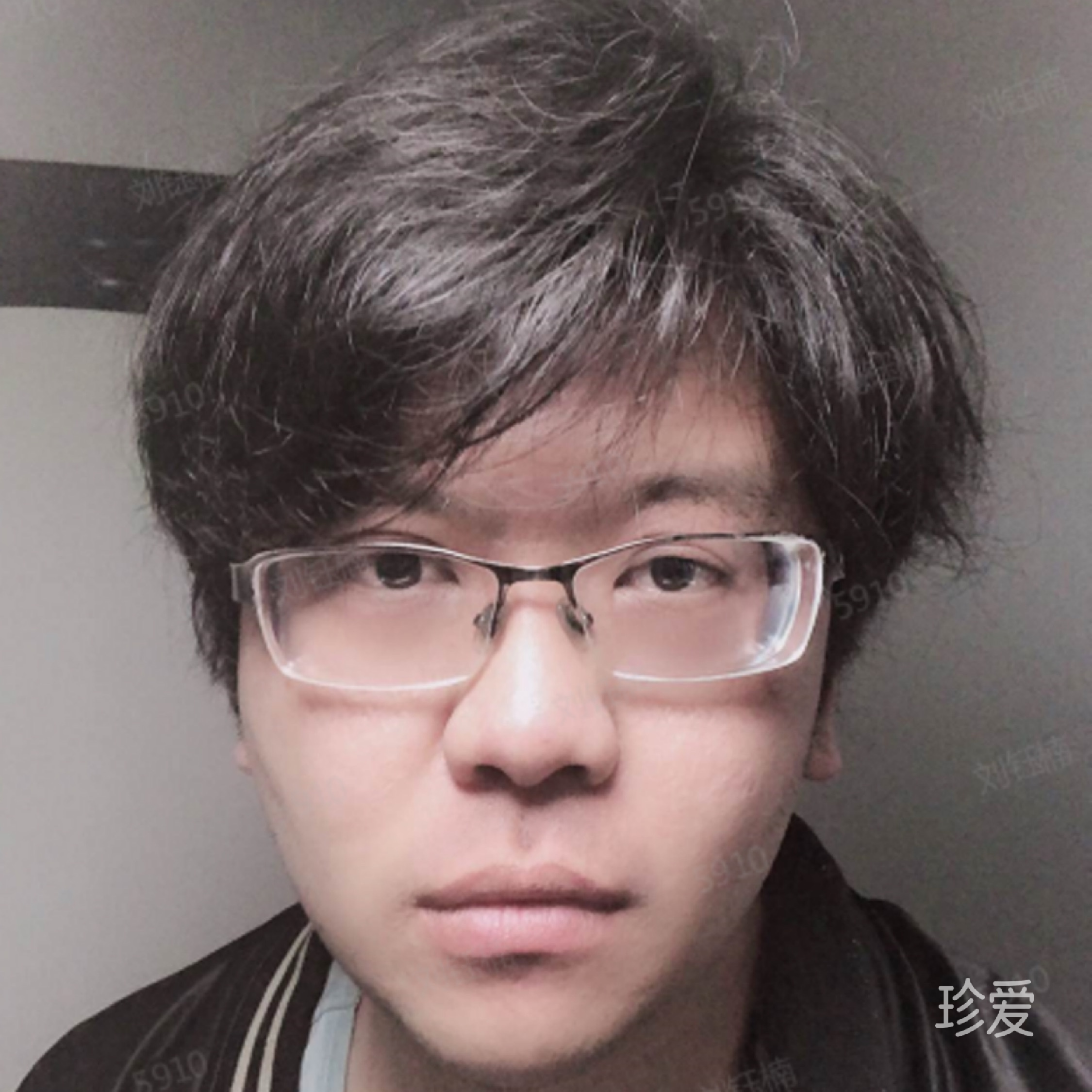 小柯基