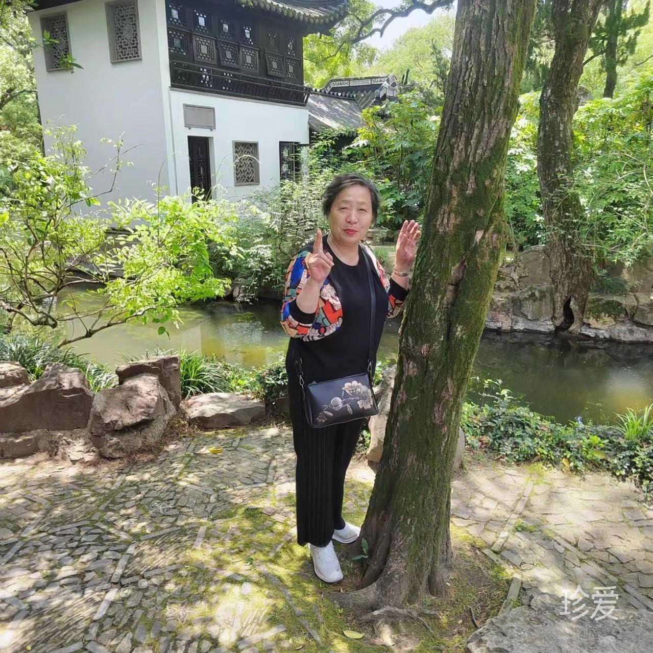 秋枫紫