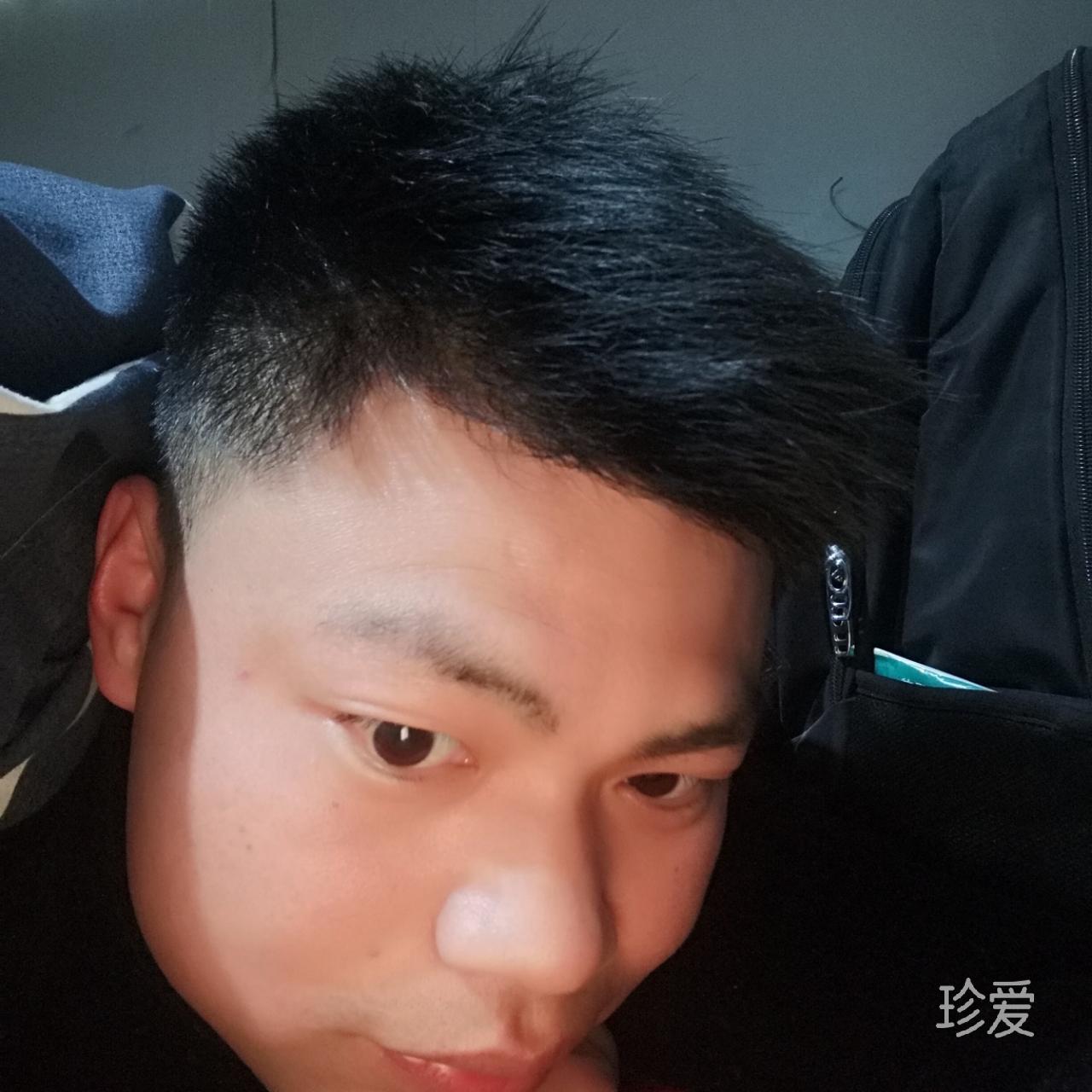 单身的茄子