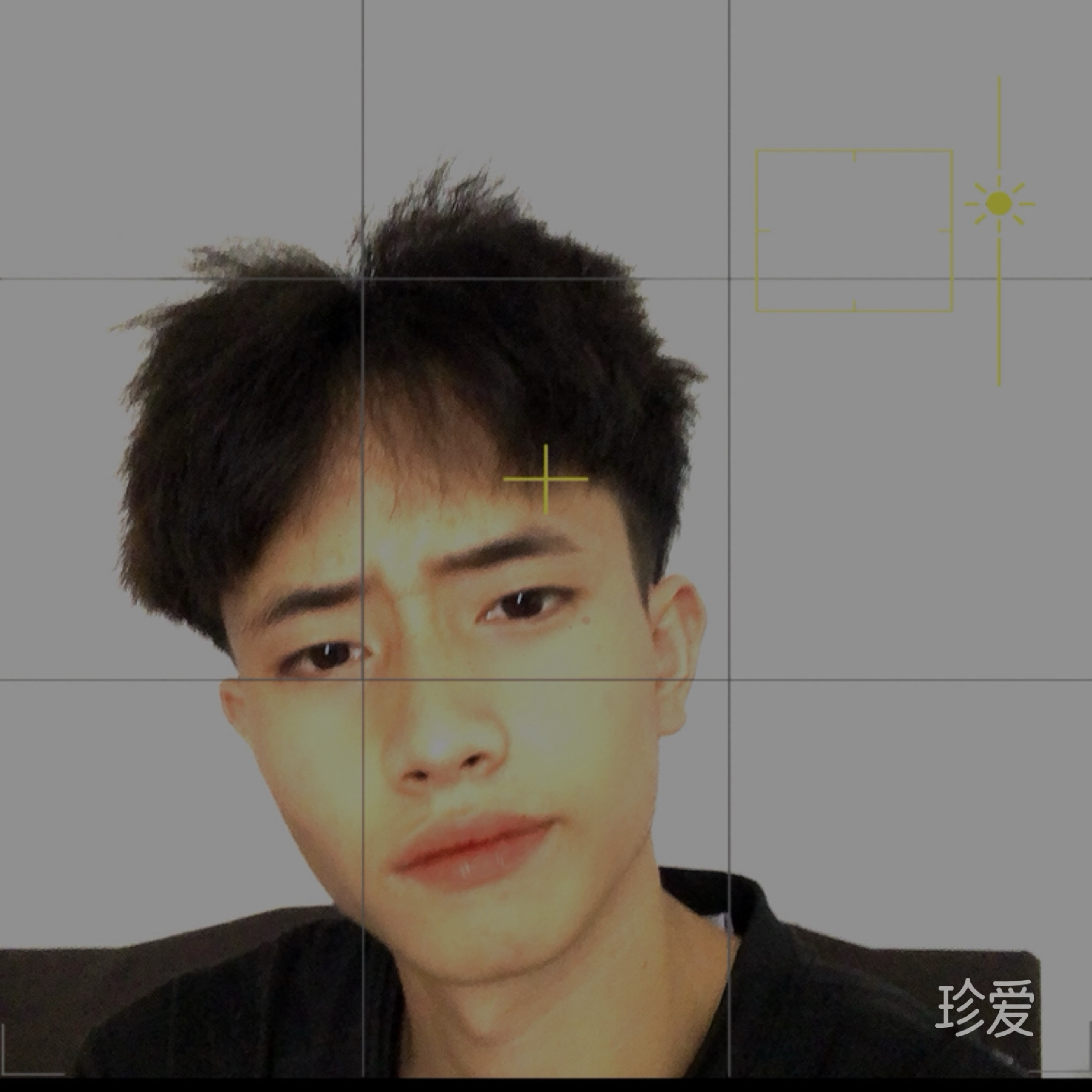 白乌鸦