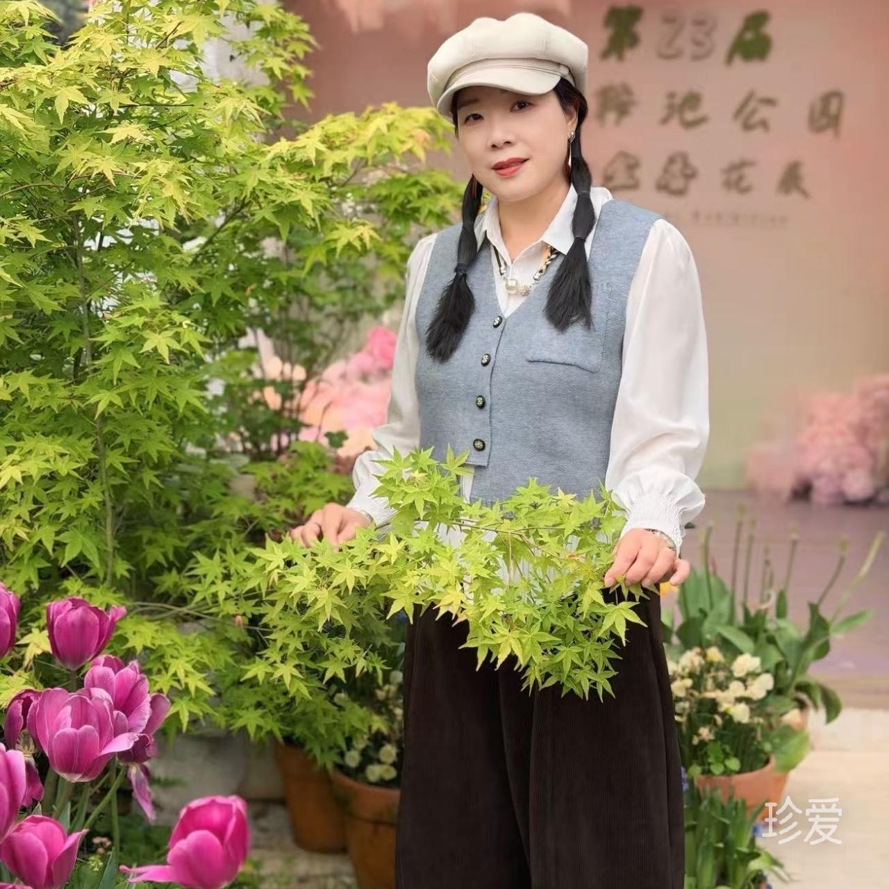 我想有个家