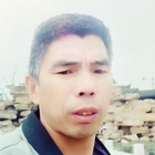 沒(méi)心沒(méi)肺