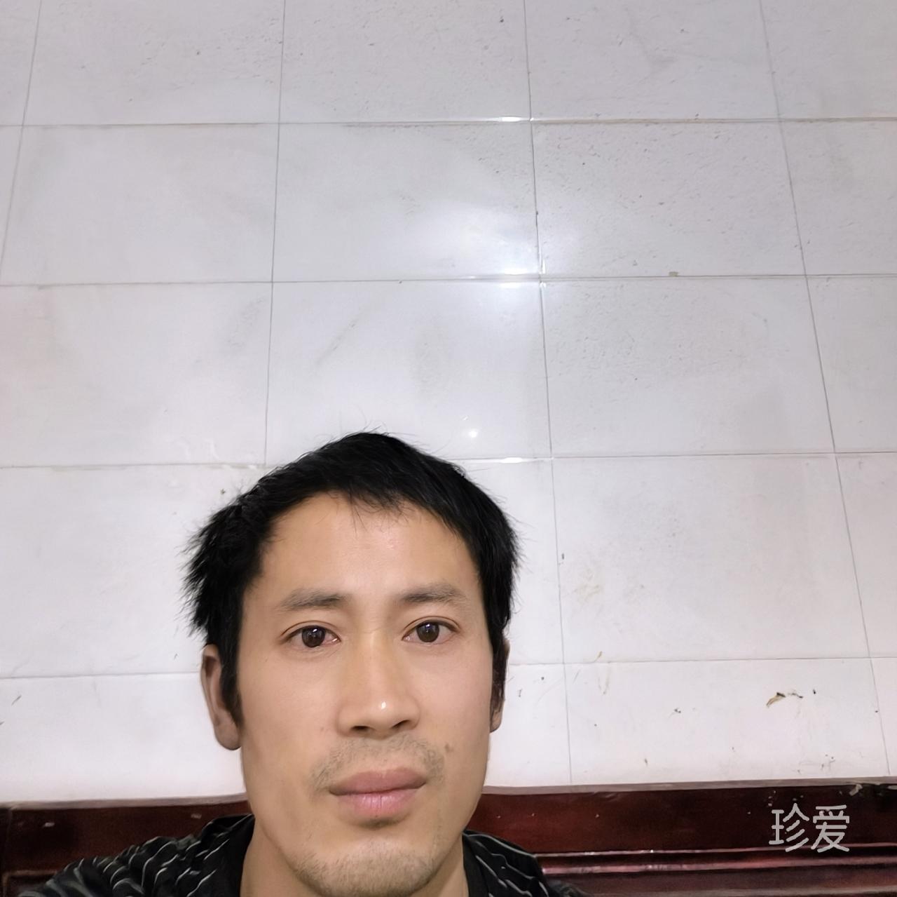 落花惜流年