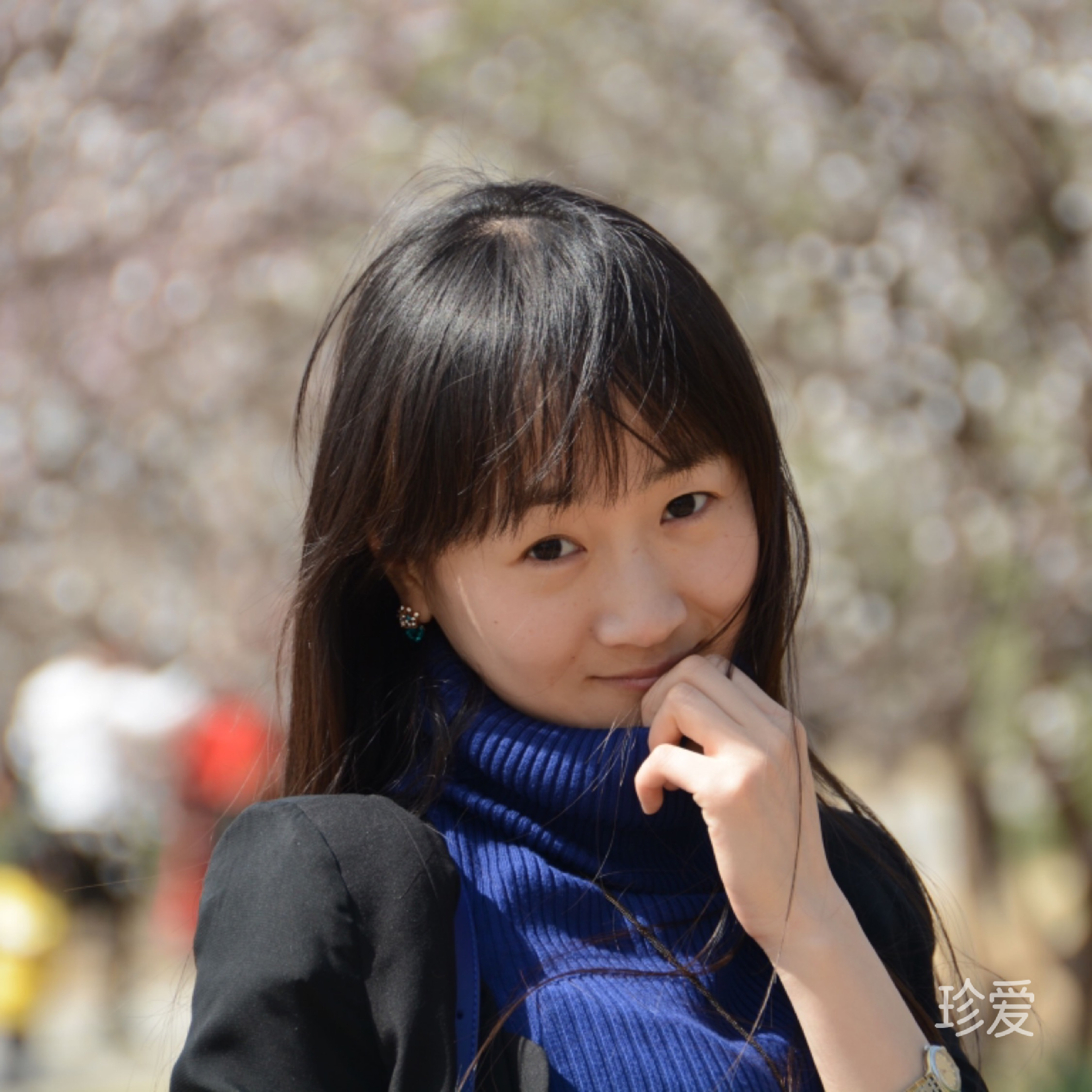逆风解意