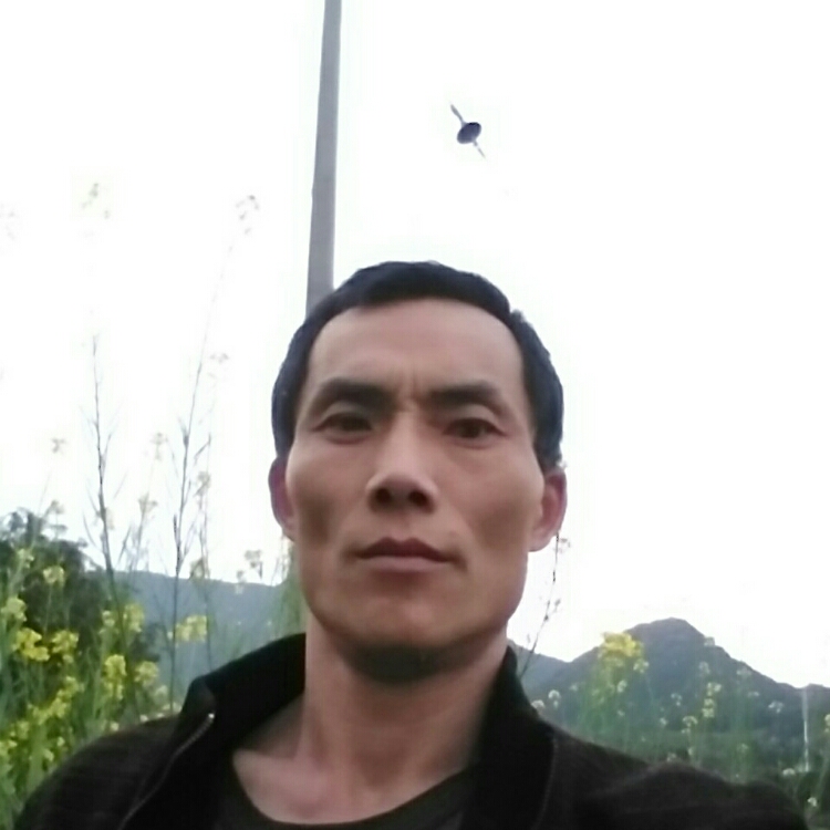 沒誠意就別來惹