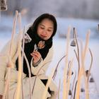 墨蘭