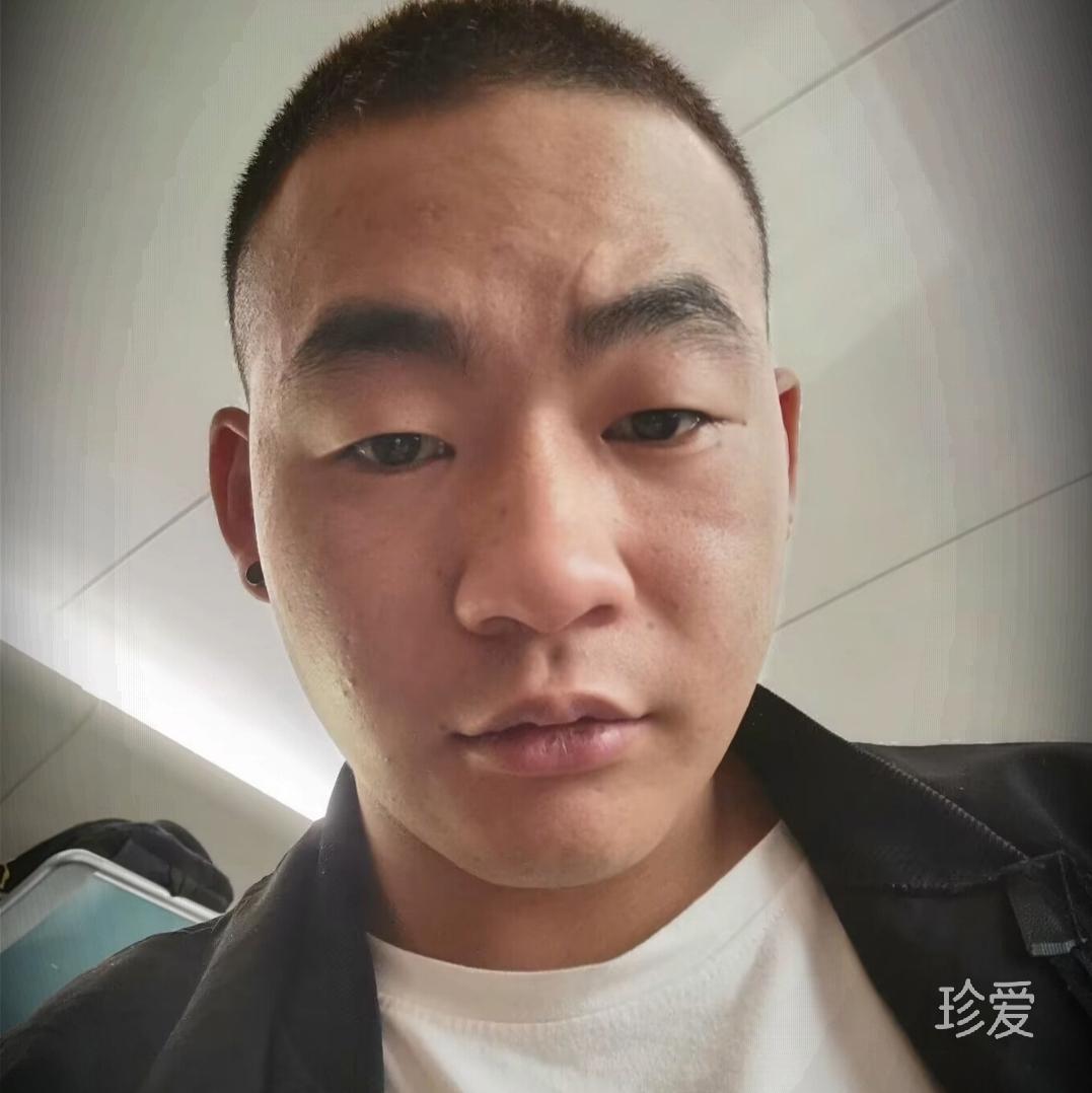 散步的小乌龟