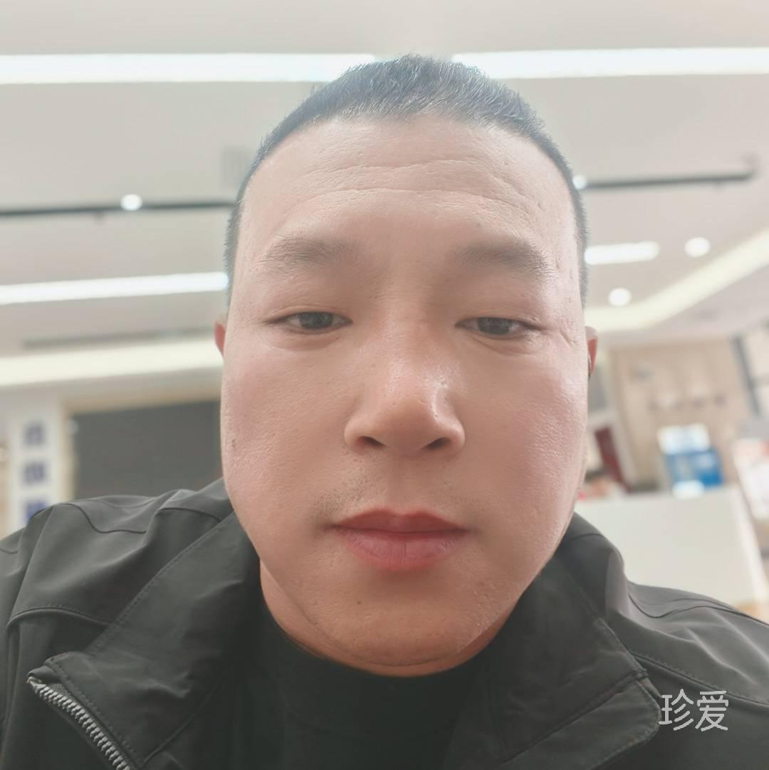 树路