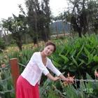 找個(gè)好人就嫁了