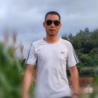 路邊上的風(fēng)香樹