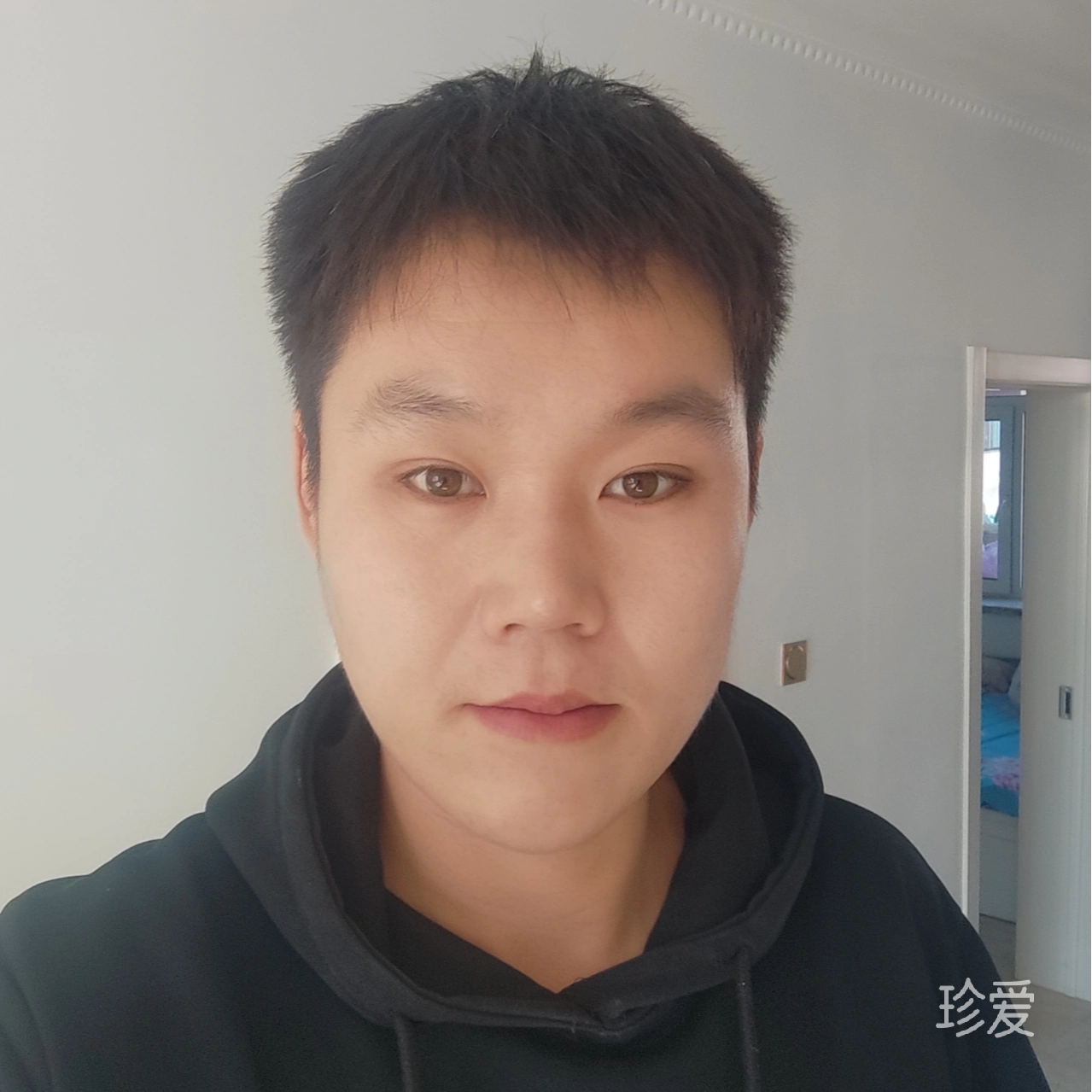 爱吃猫的鱼