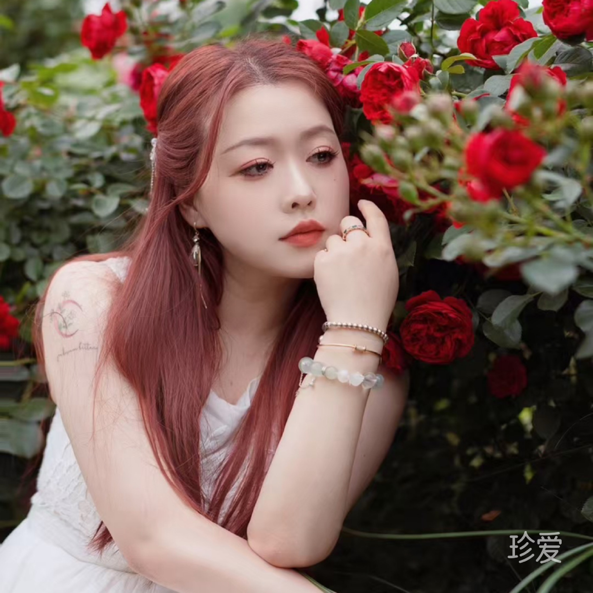 月亮妹妹