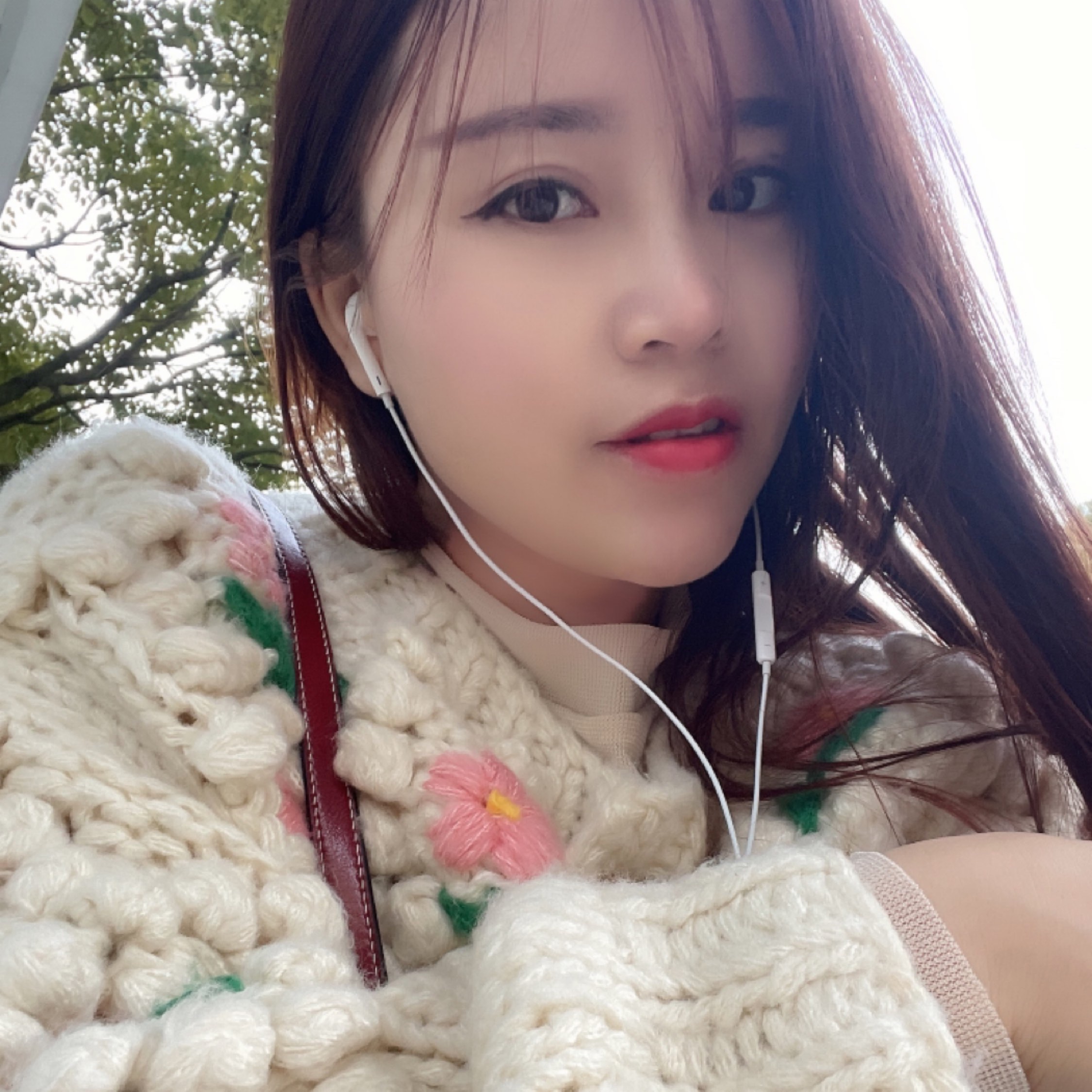 被風(fēng)吹過(guò)的夏天