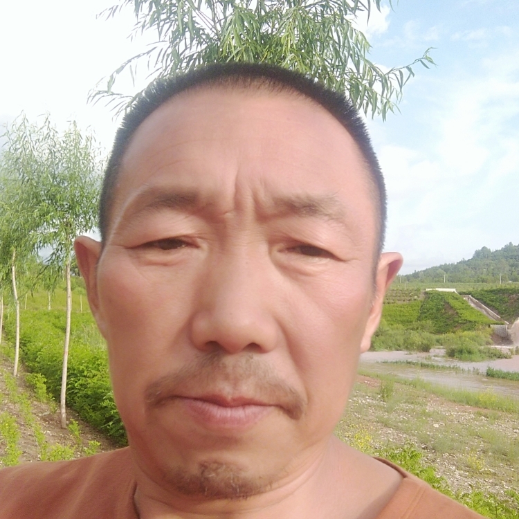 逍遥追梦