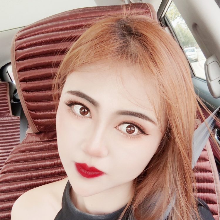 小野馬和小斑馬