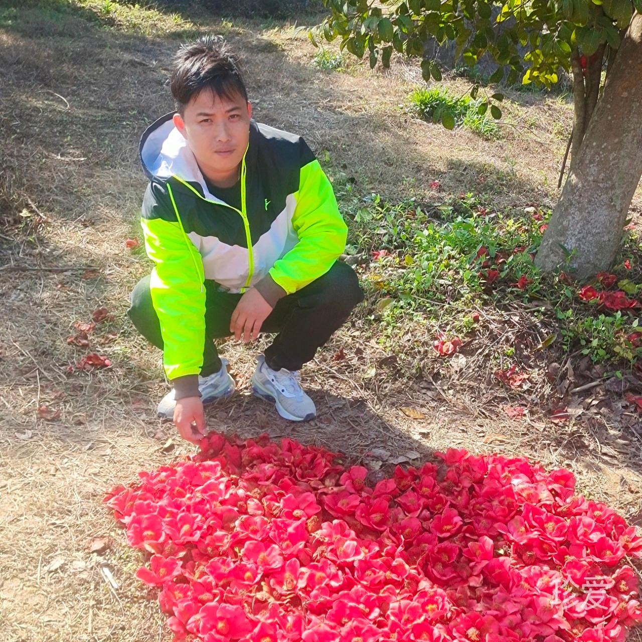 一网情深只爱一人