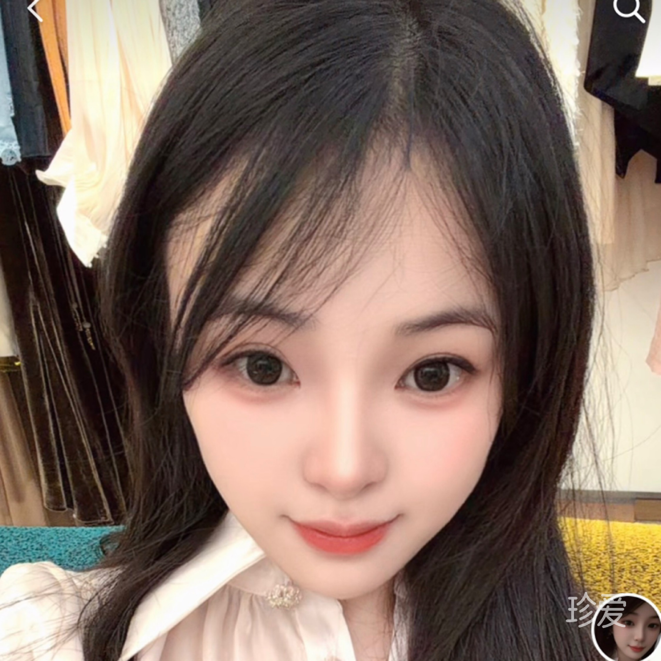 小刺猬