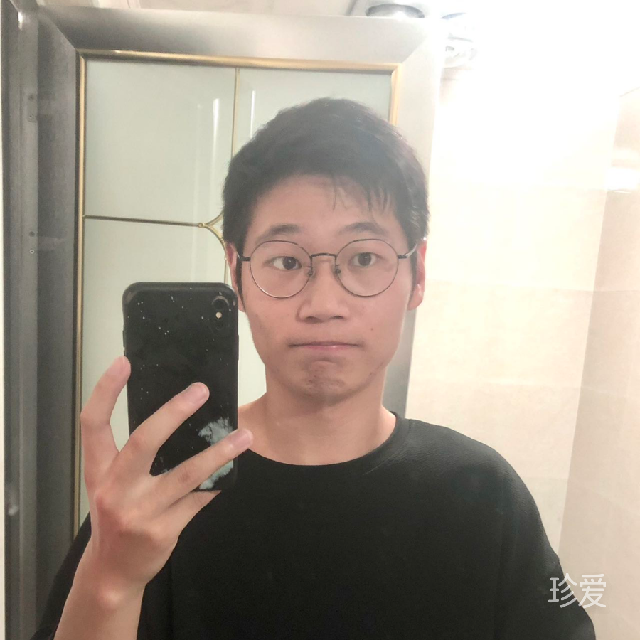 追逐阳光的猫子