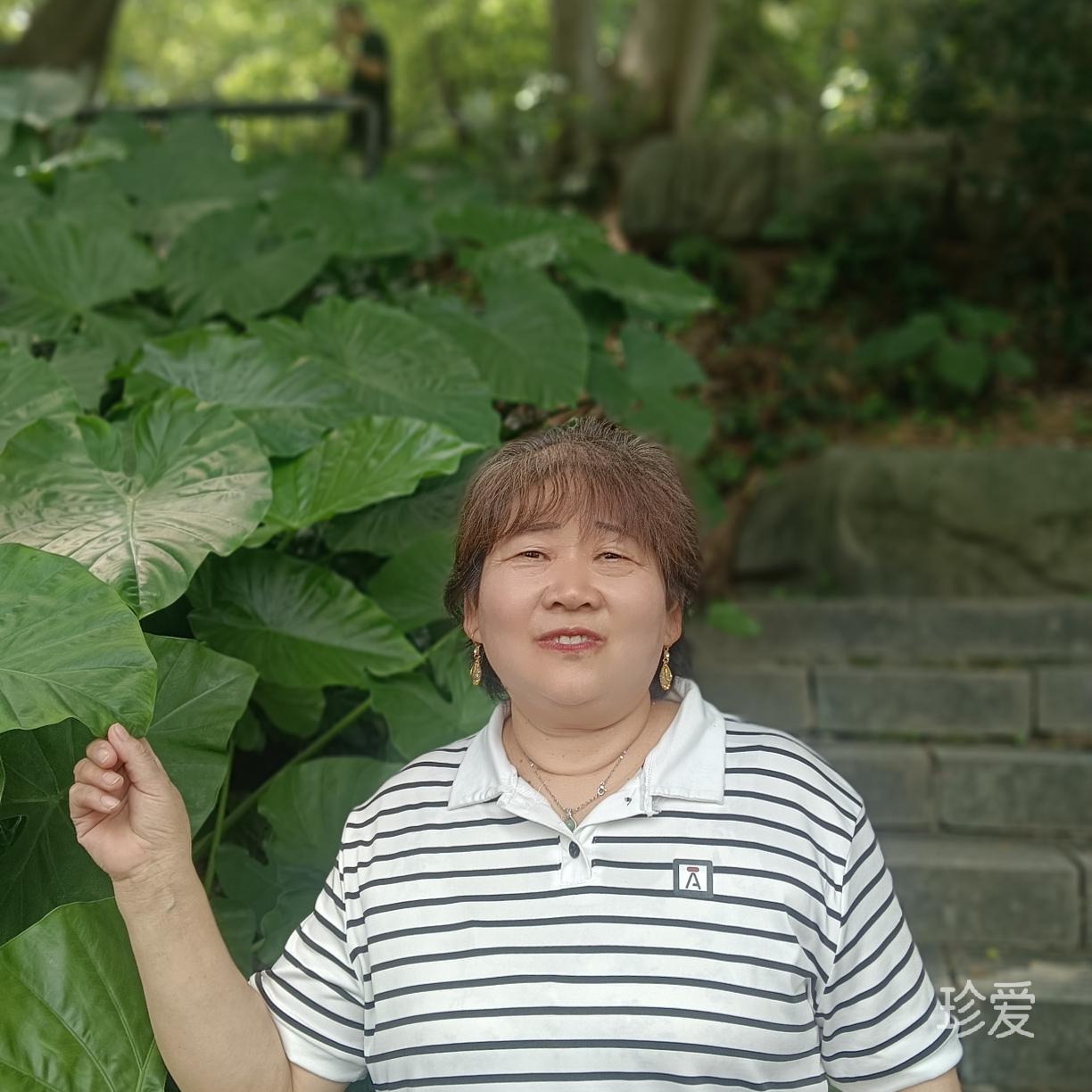 简单爱