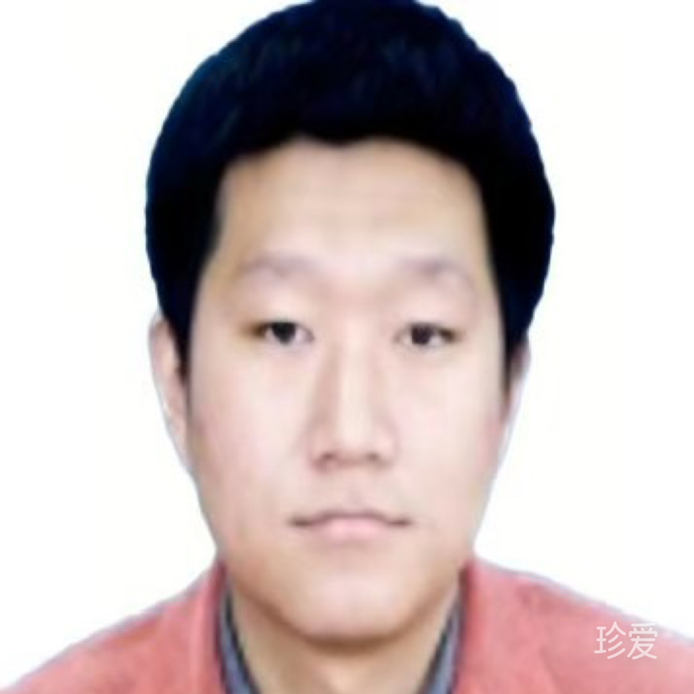 尘缘如风