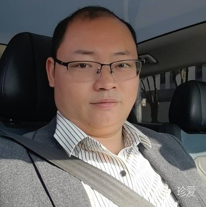 翱翔的小鸟