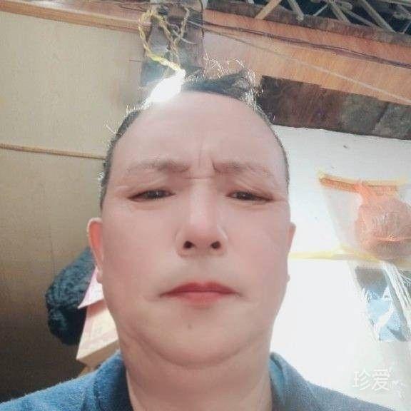 执着的爱