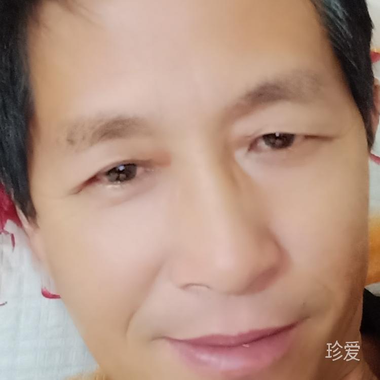 孤独继续