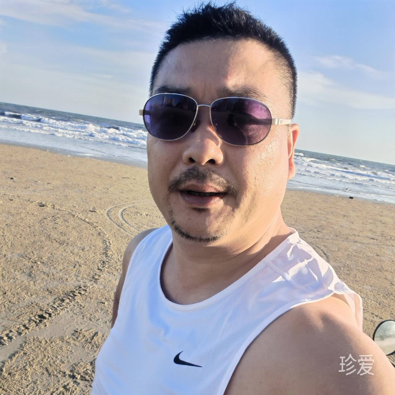 海豚