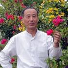 等春天花開(kāi)