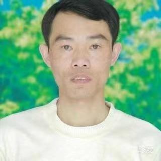 高山云雾一片绿叶