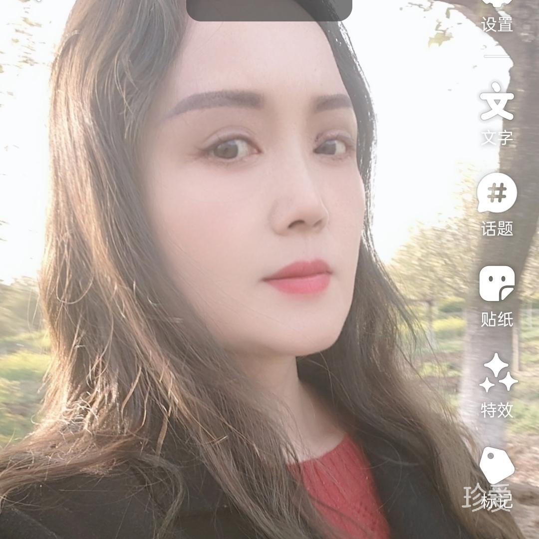 懒猪