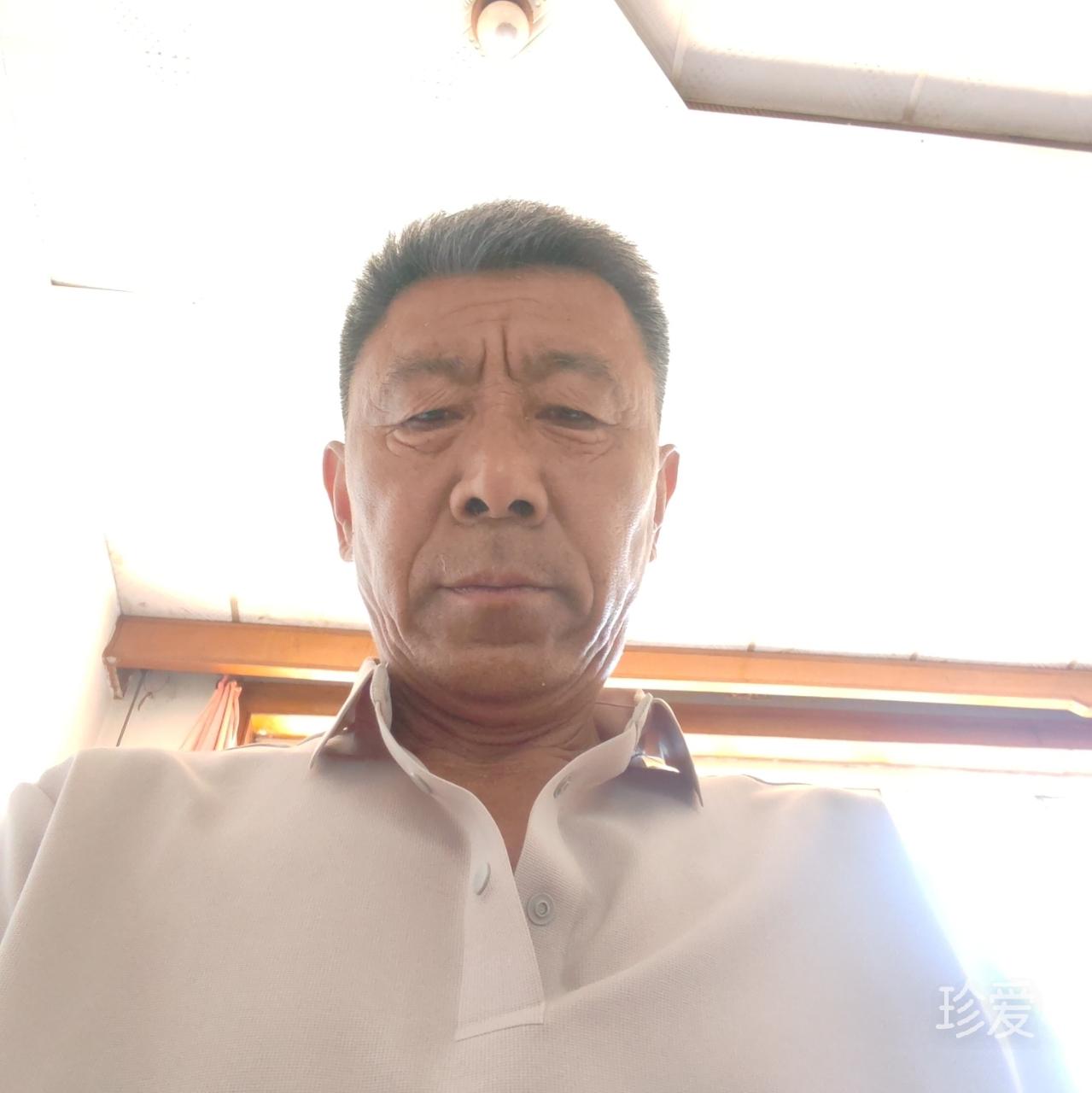大龙