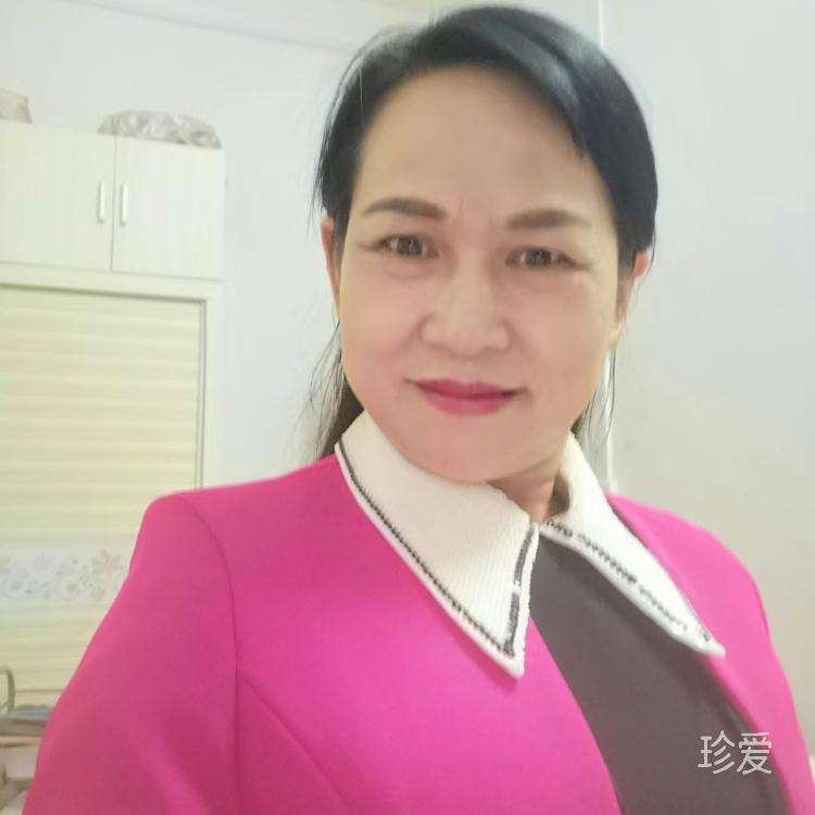 钢琴上跳舞的猫