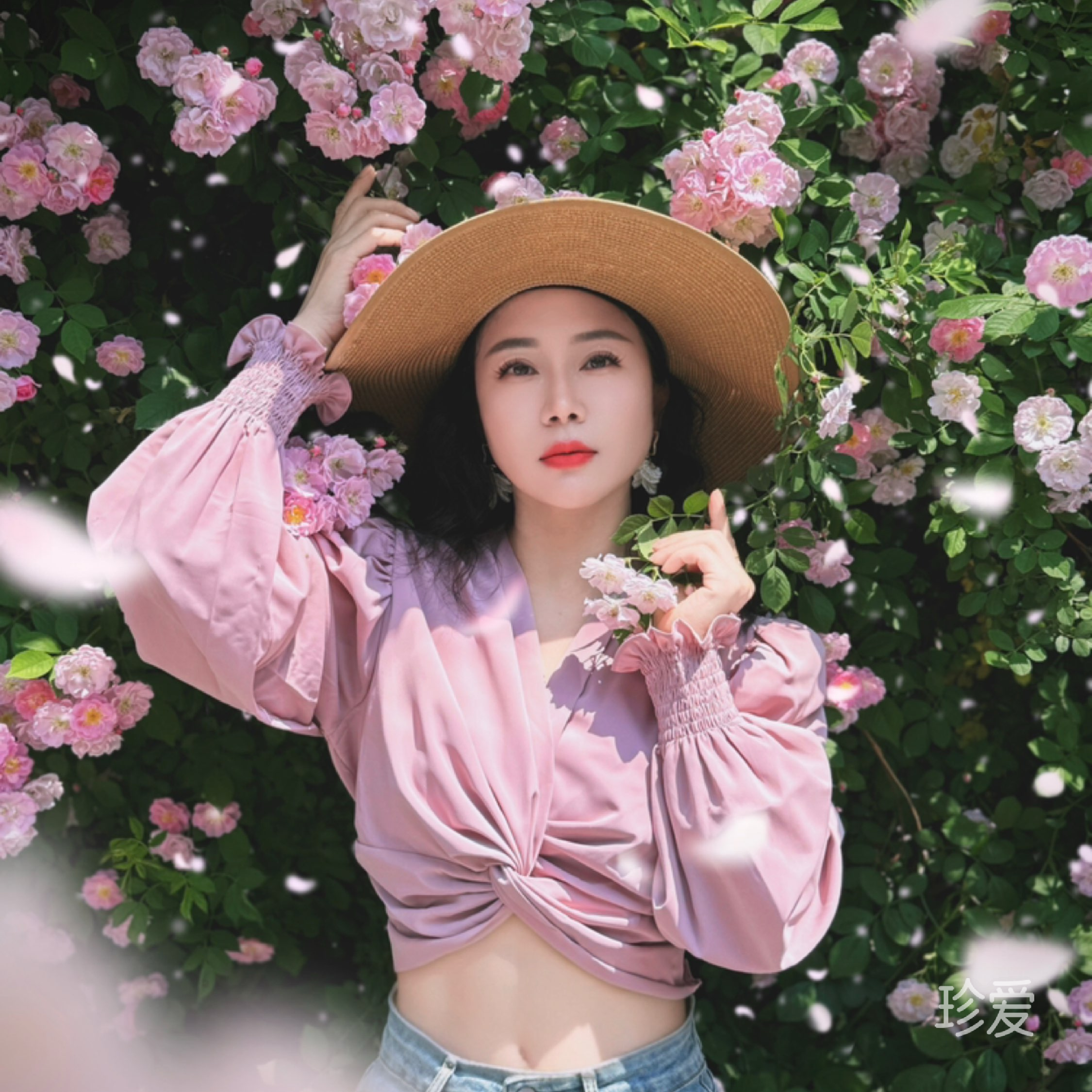 寻觅一份安逸