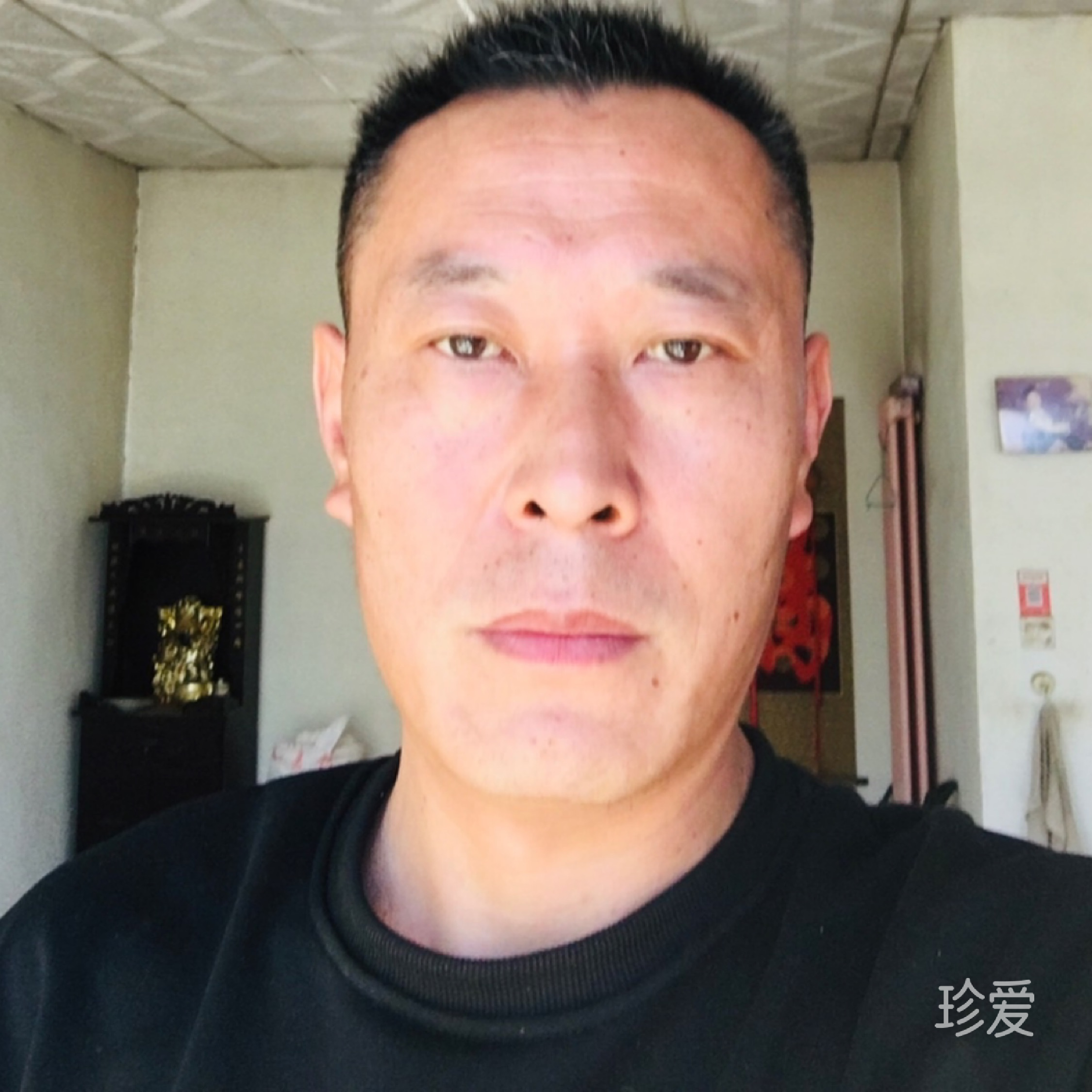 泰山诚哥