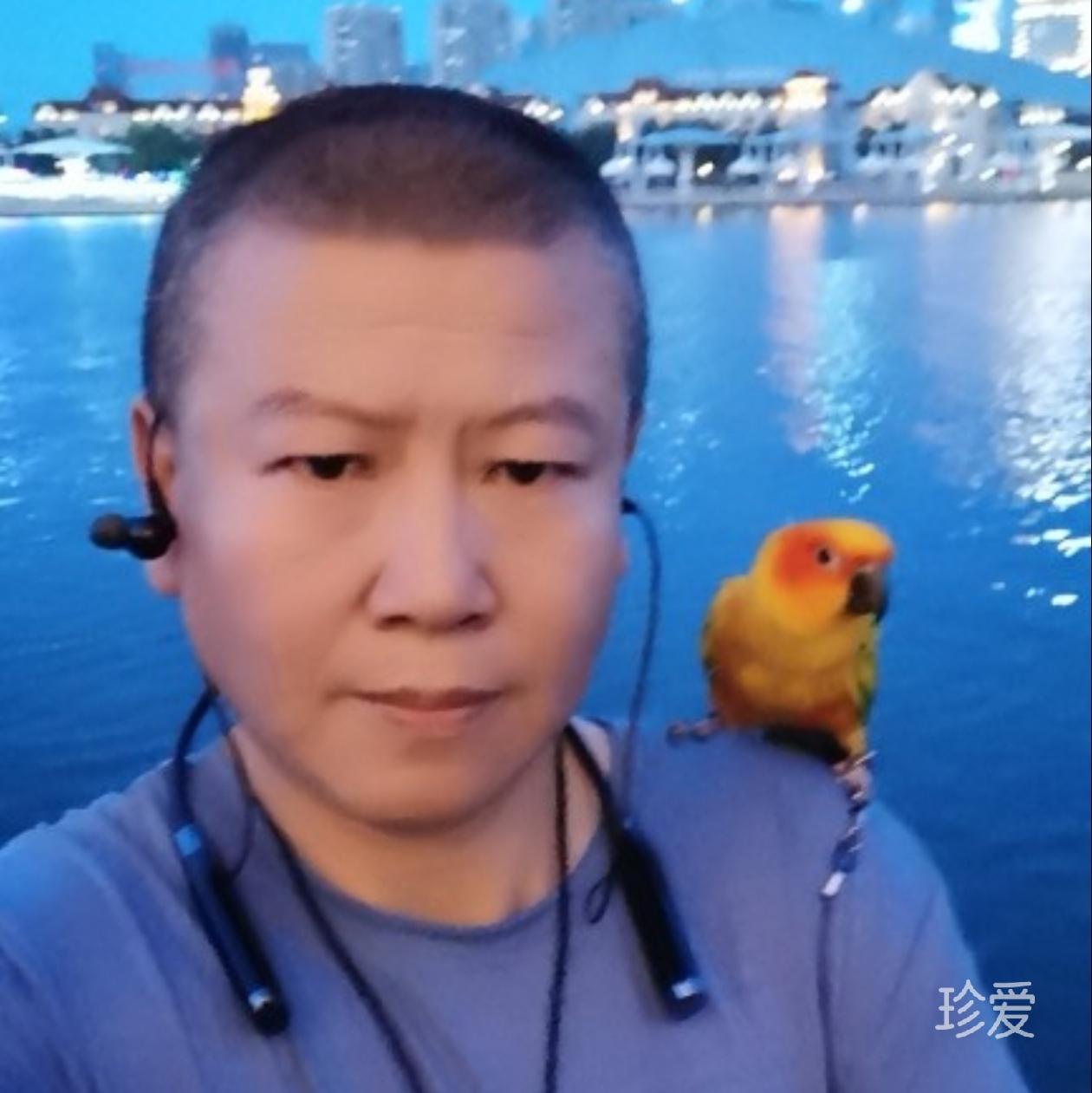 人生的道场