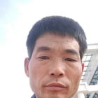 雙信