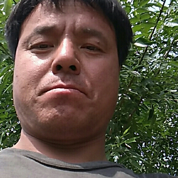 大王叫我来相亲