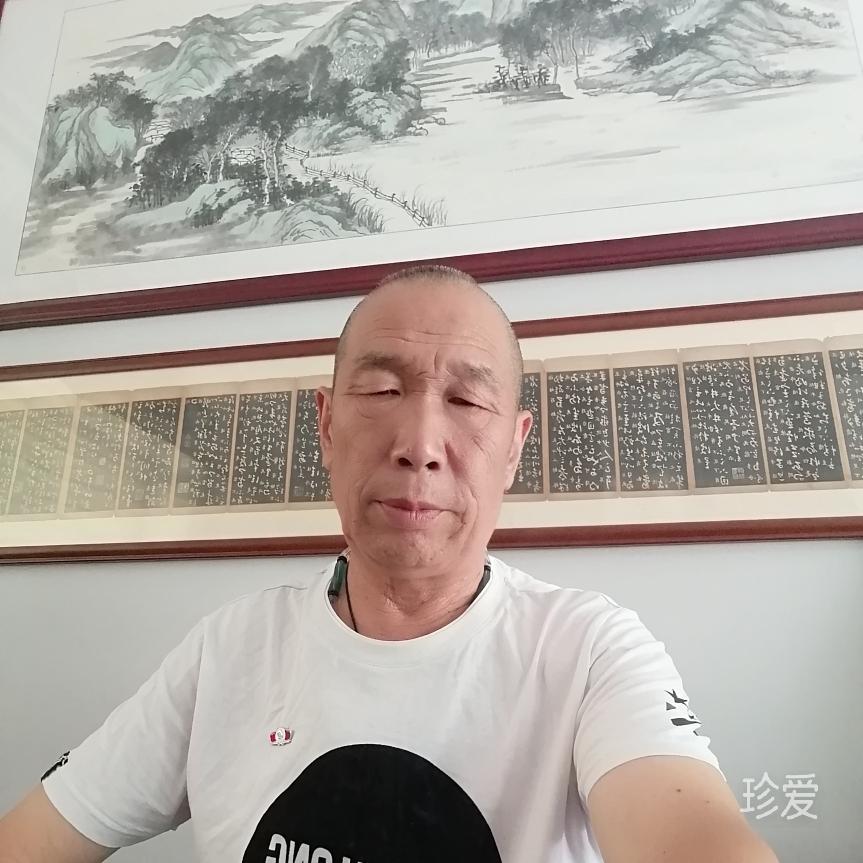 平淡的绿叶