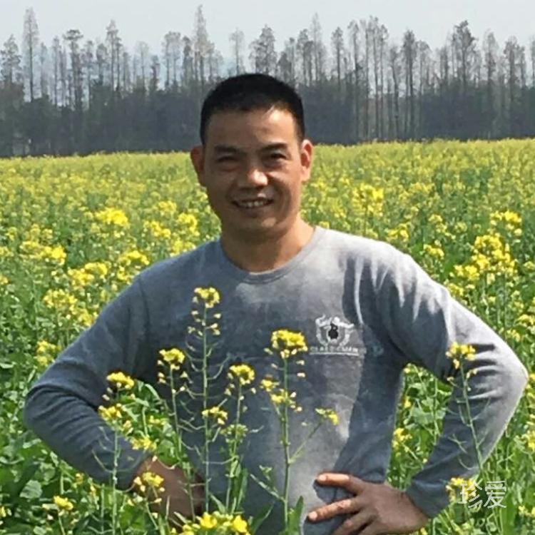 单身汉子