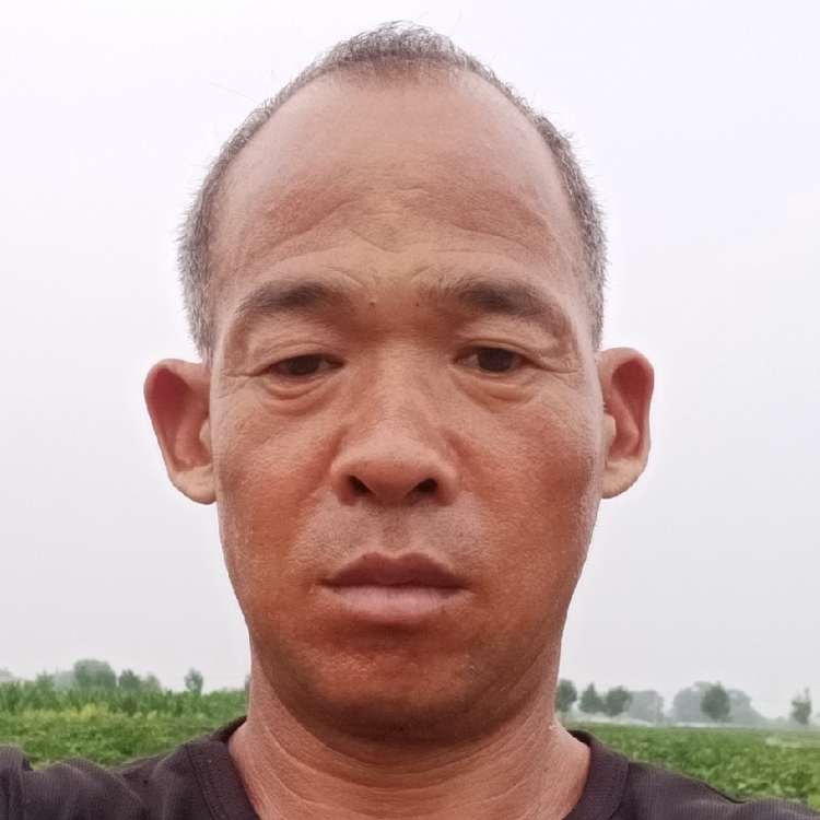 陽(yáng)光與微笑